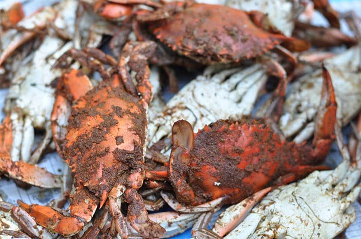 Pile of cooked crabs